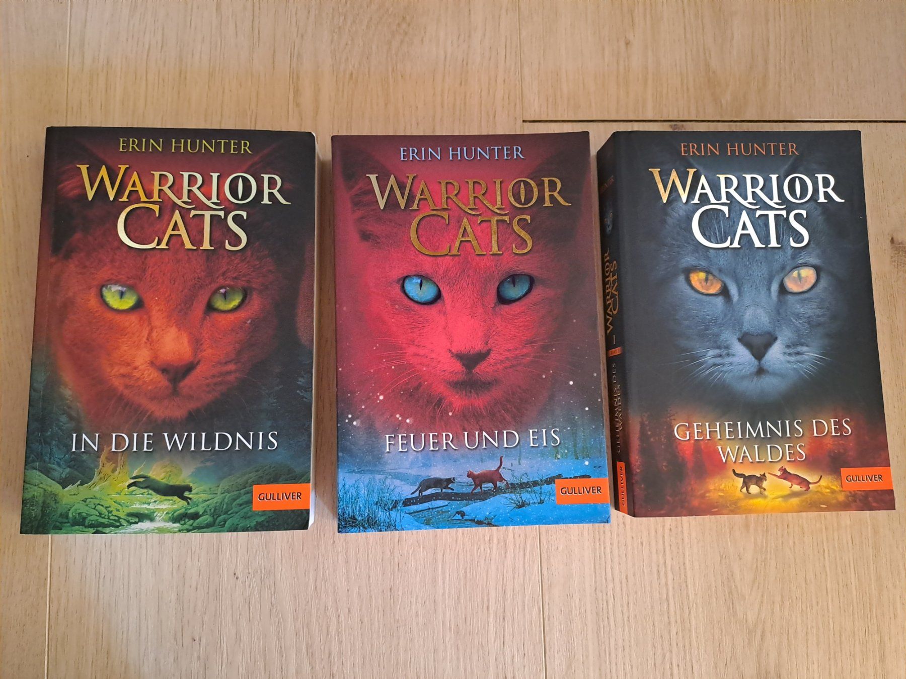 Libri: Warrior Cats Staffel 1 Band 1-3 – Usato da Untereggen venduto da ros_kz89