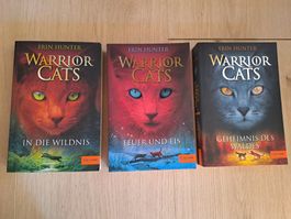Warrior Cats Staffel 1 Band 1-3