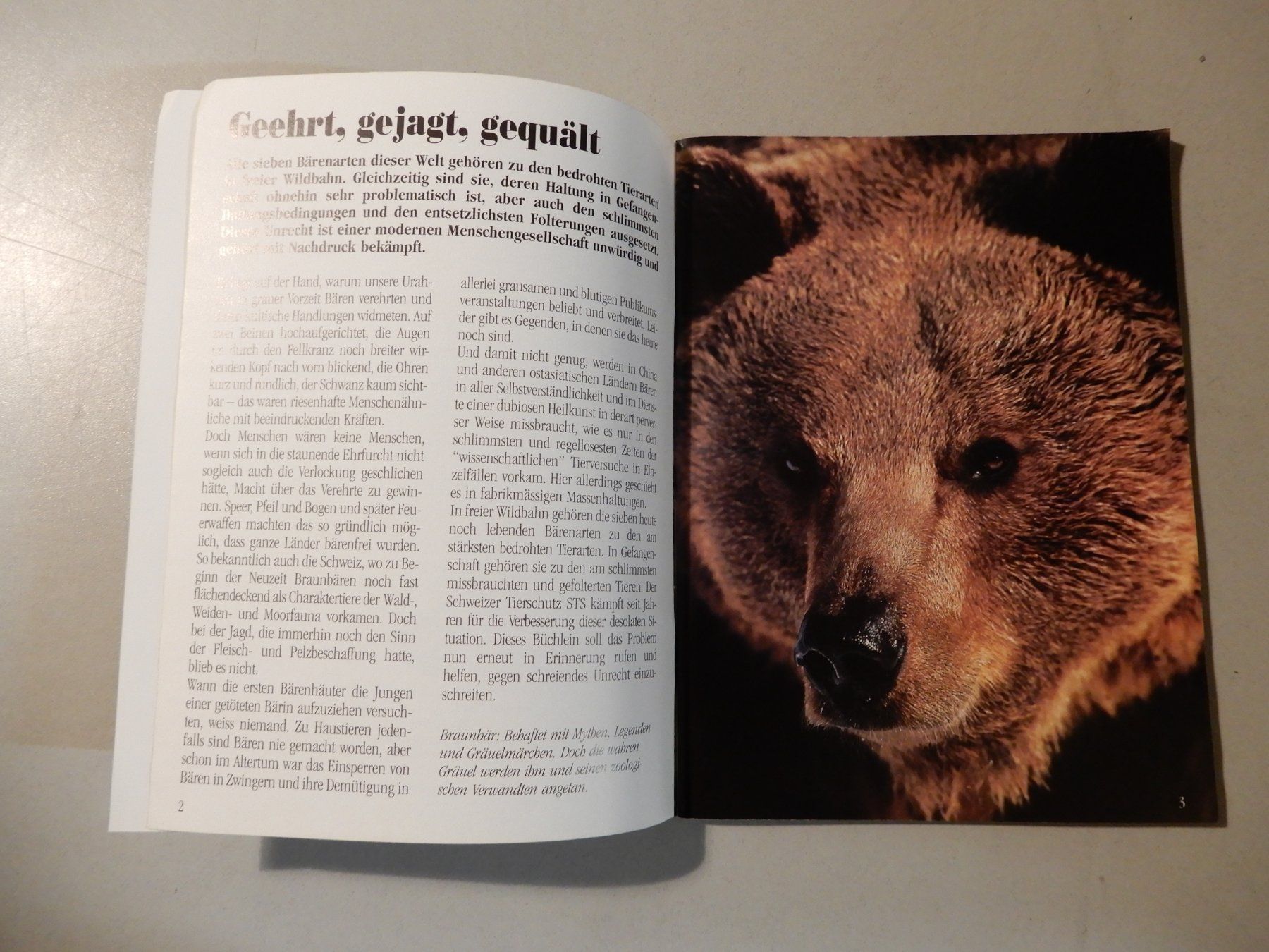 Libri: Bärenschicksal - Schweizer Tierschutz STS – Usato da Erstfeld venduto da Mario_boe0 3