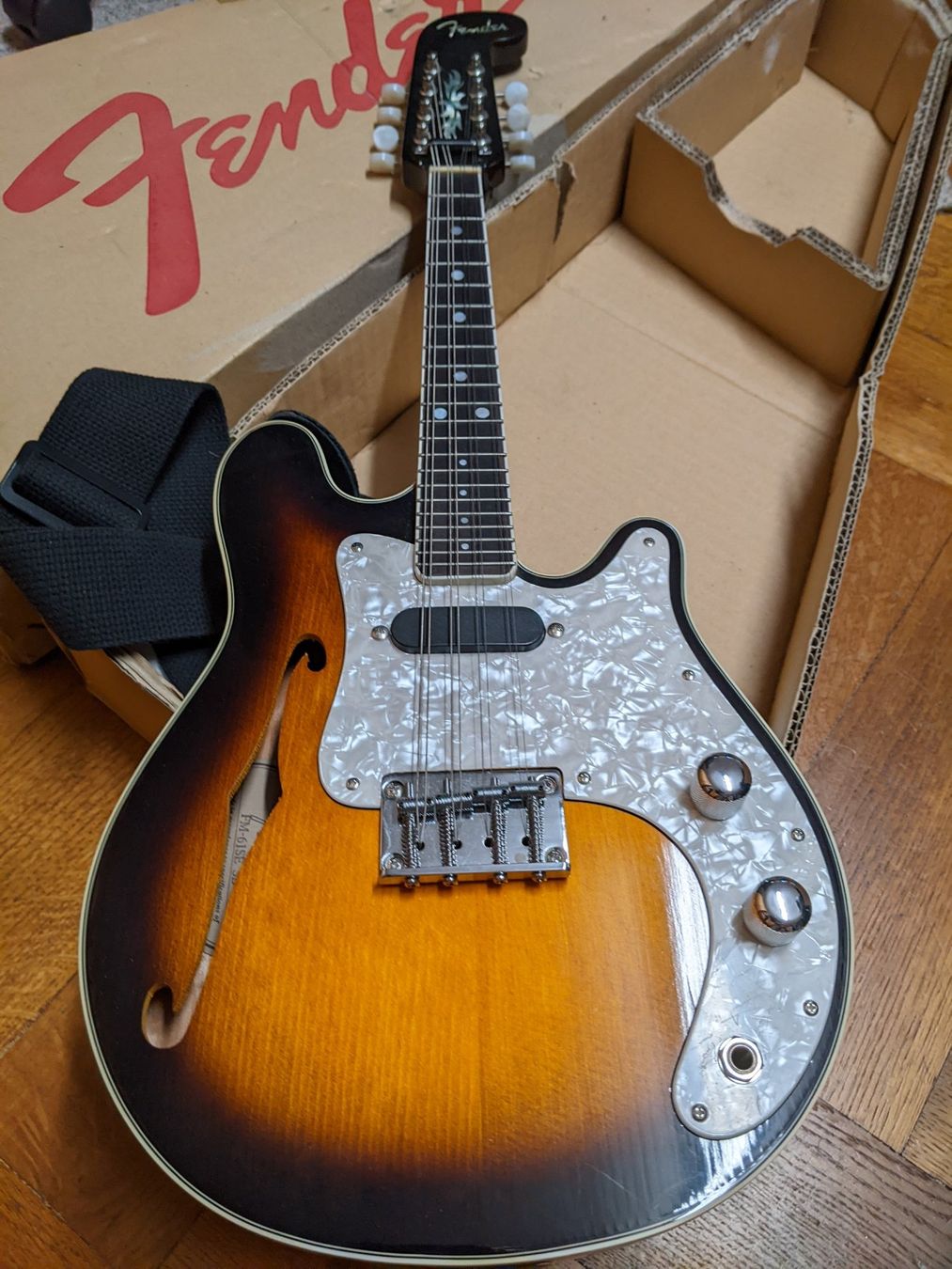 Fender Mandoline FM-61SE, toller Sound, praktisch neuwertig (Gebraucht ...