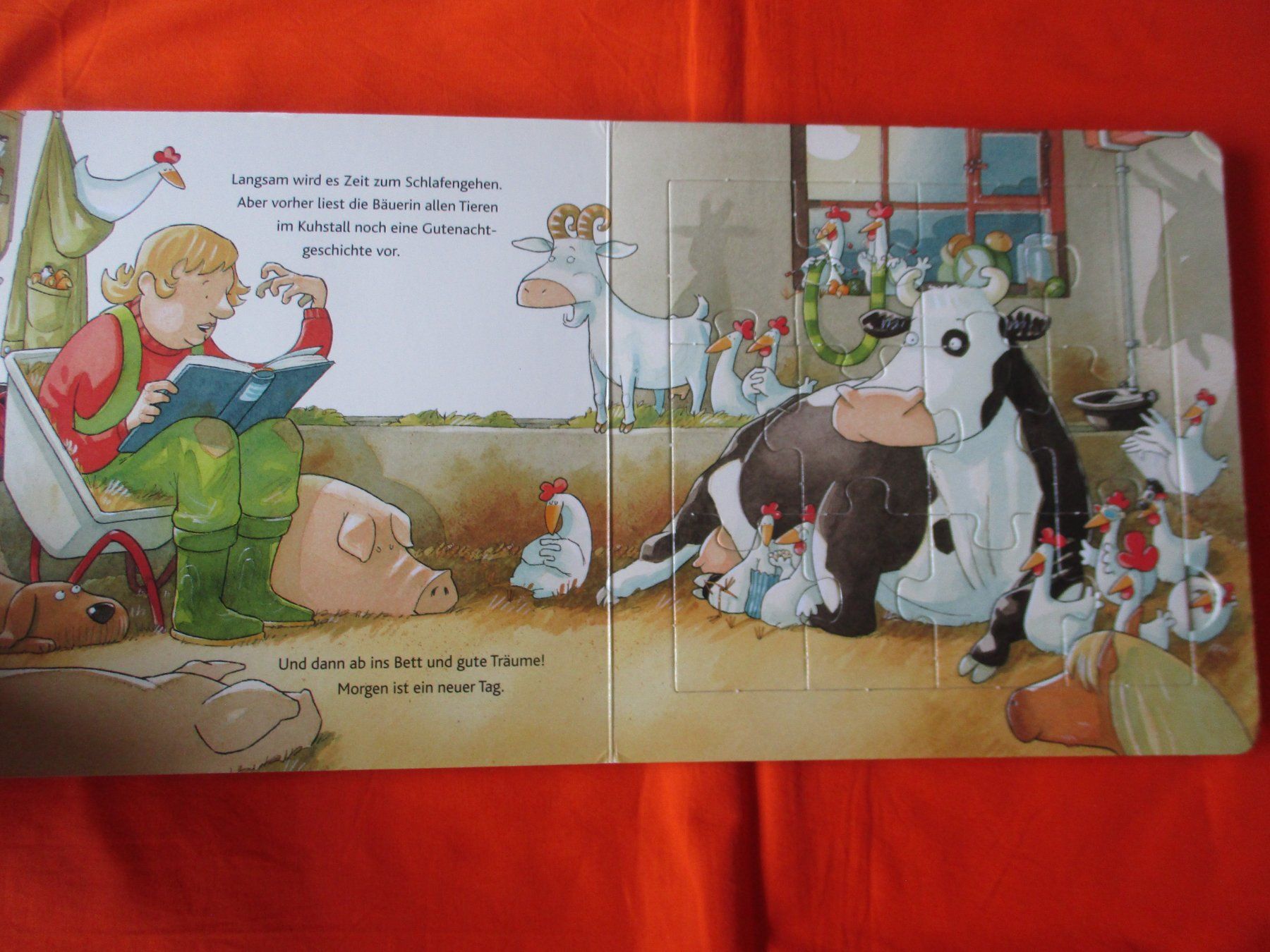 Bücher: Liselotte Puzzle Buch – Gebraucht aus Birsfelden von alles-muss-raus 1