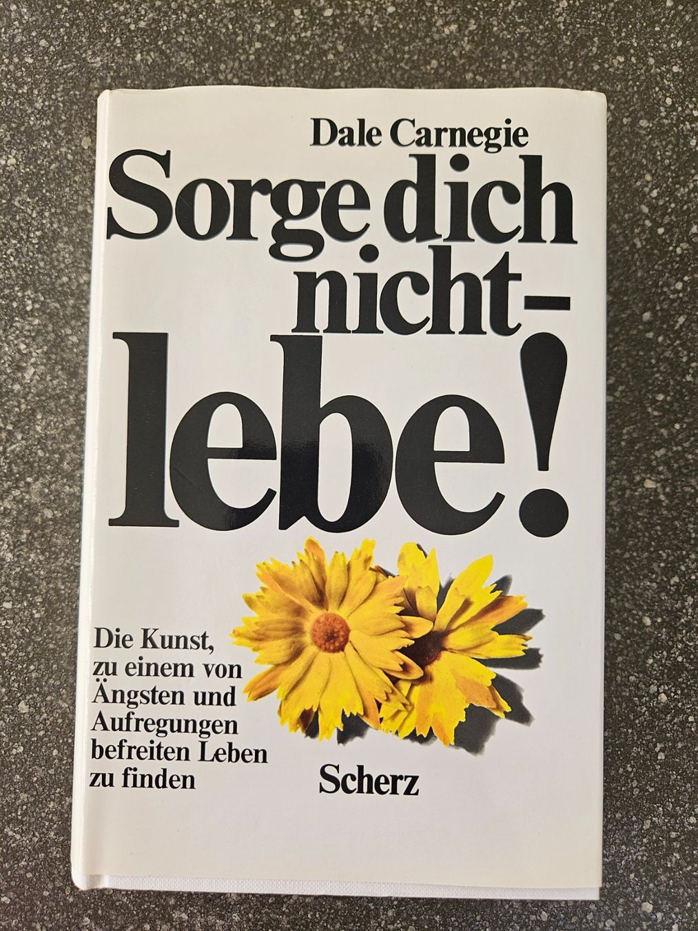 Bücher: Buch Sorge dich nicht - lebe – Gebraucht aus Möriken AG von pam66