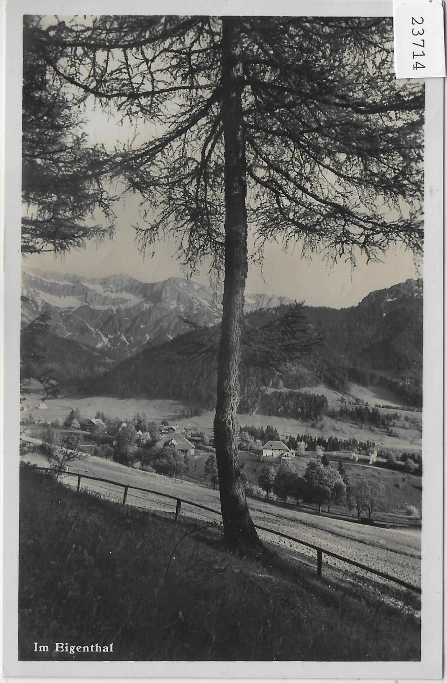 Cartoline postali: Partie im Eigenthal – Antico da Ettingen venduto da Kartenplanet