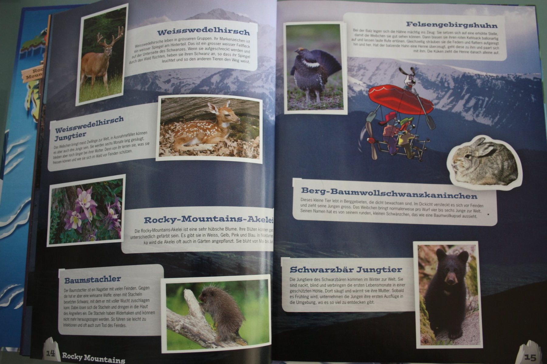 Migros Album: Stickeralbum Mountain-Mania – Usato da Oberwil BL venduto da Hesa41 1