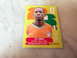 Panini FIFA Fussball WM 2026 Sticker Willy Boly CIV 7