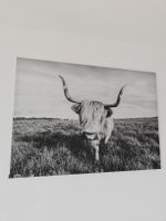Bild Kuh Hochlandrind Schwarzweiss Leinwand Deko 140x100cm