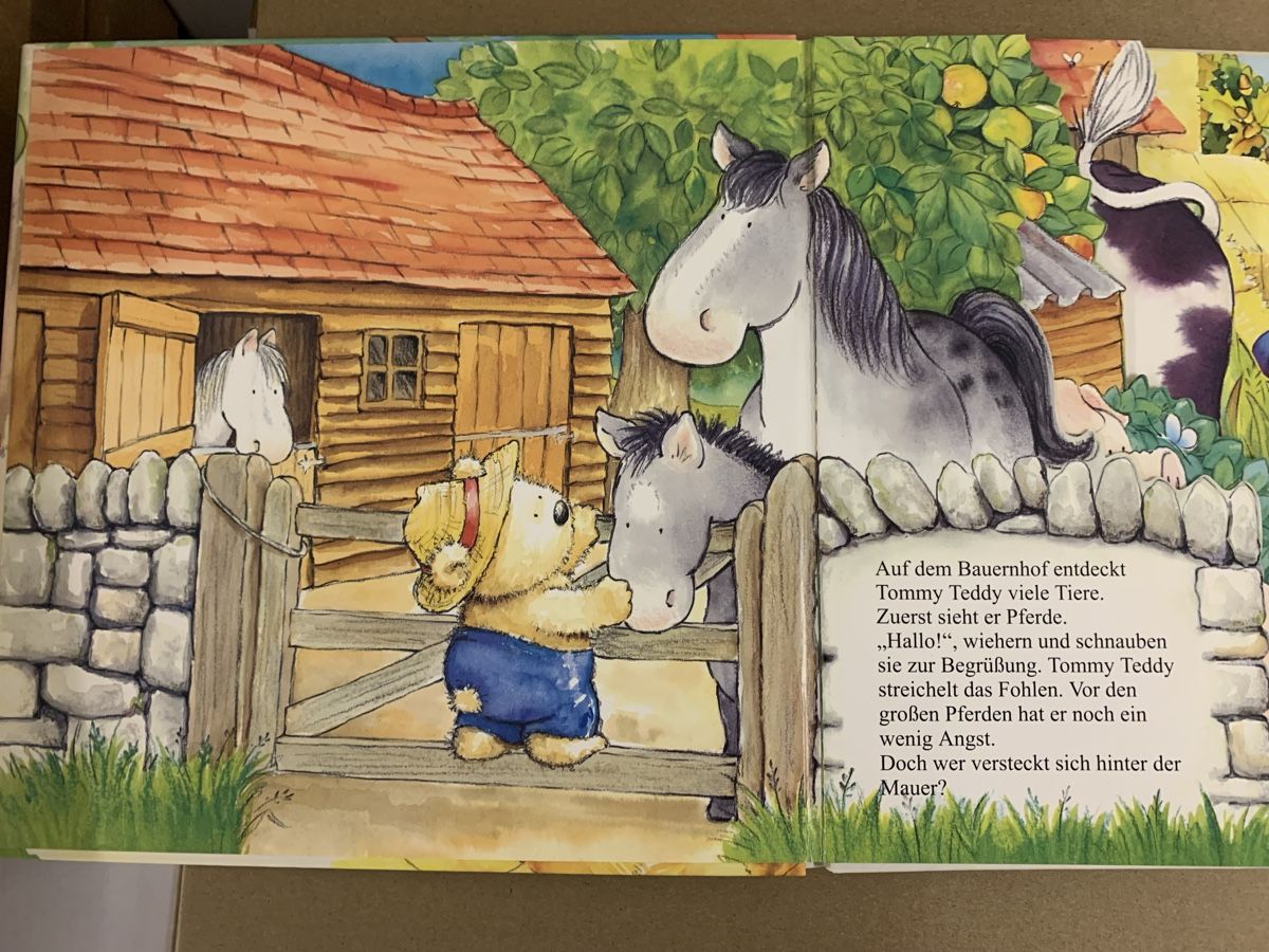 Libri: Tommy Teddy entdeckt Haustiere, Kinderbuch, Ki40 – Nuovo (secondo la descrizione) da Erlenbach ZH venduto da Ritschly 1