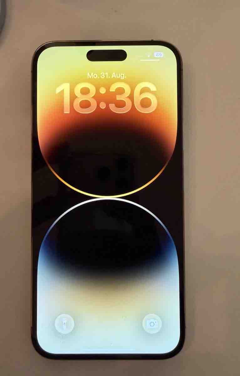 Apple Telefoni cellulari / Smartphones: iPhone 14 Pro Max Smartphone gebraucht – Usato da Villigen venduto da Liti12