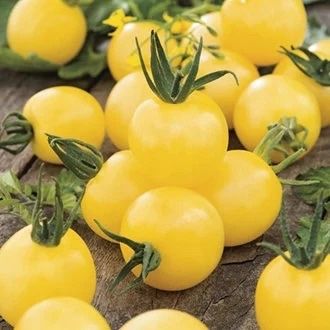 Pflanzen & Samen: 30  Samen SNOWBERRY weisse Kirschtomate – Neu (gemäss Beschreibung) aus Ehrendingen von VerveinaSamen 4