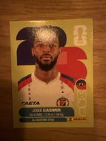 Panini