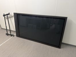 Panasonic Fernseher TH-65PF20ER 65 Zoll 