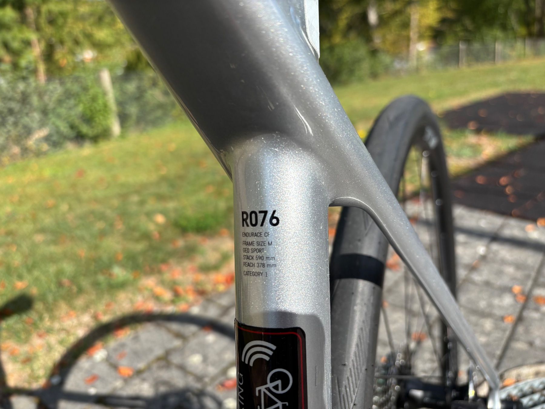 Canyon Biciclette: Canyon Endurance CF 7 – Usato da Bassersdorf venduto da shk_2lsb 2