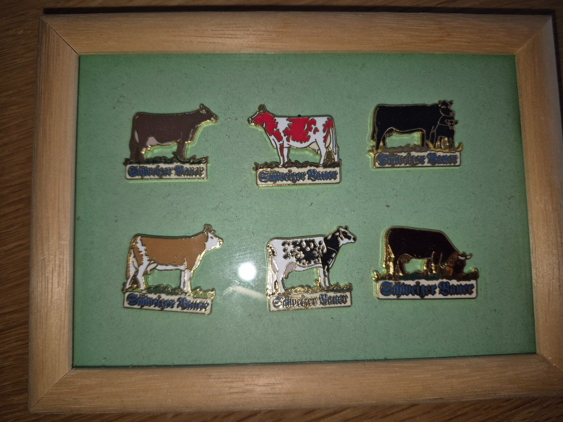 Plaketten & Abzeichen: Pin Set Schweizerbauer – Gebraucht aus Buttikon SZ von sefa02