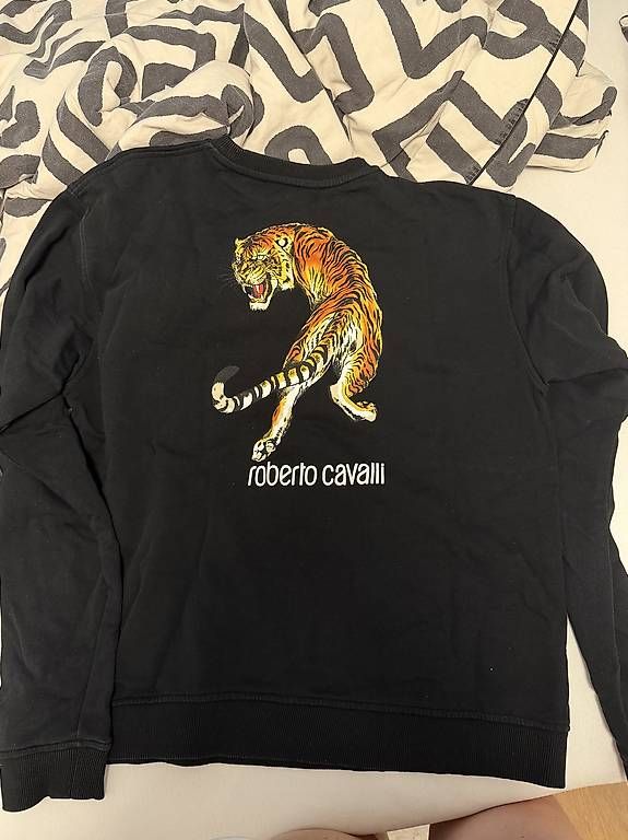 Roberto Cavalli Maglioni & Felpe: Roberto Cavalli Pulli – Usato da Rotkreuz venduto da andgav11 3