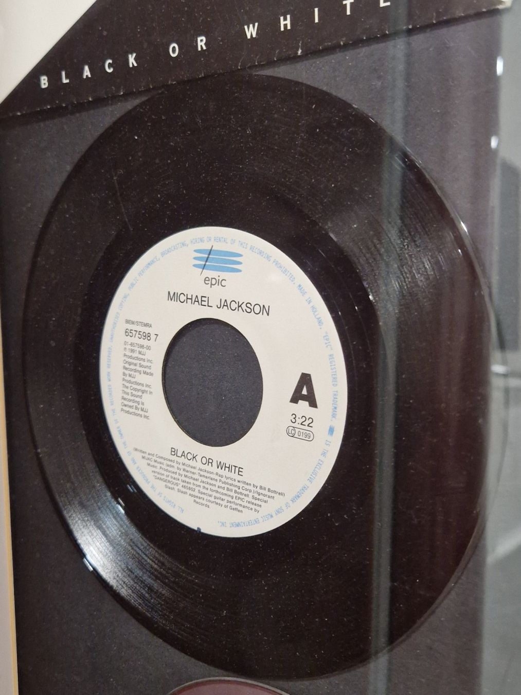 Dischi in vinile: Michael Jackson Black or White Vinyl – Usato da Stetten SH venduto da ExtremMIB 2