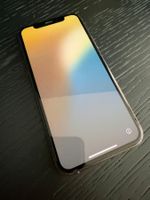 iPhone 11 Pro Gold 64GB voll funktionstüchtig immer in Hülle