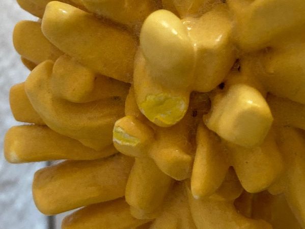 Statuette: Fasnachtsfigur Rice Wunderli Waggis – Usato da Rüti ZH venduto da coccinelle88 4