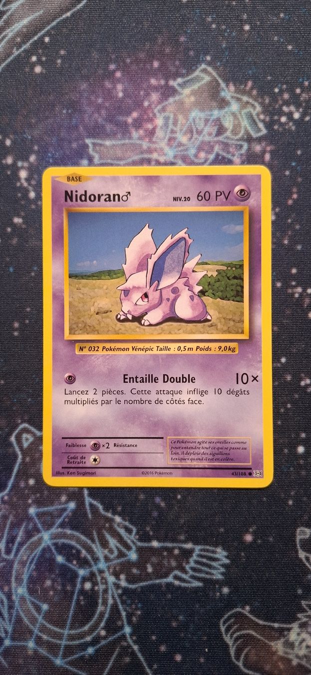 Pokémon Carte collezionabili: Nidoran 43/108 - Evolutions FR – Nuovo (secondo la descrizione) da Petit-Lancy venduto da Kara_TCG 1