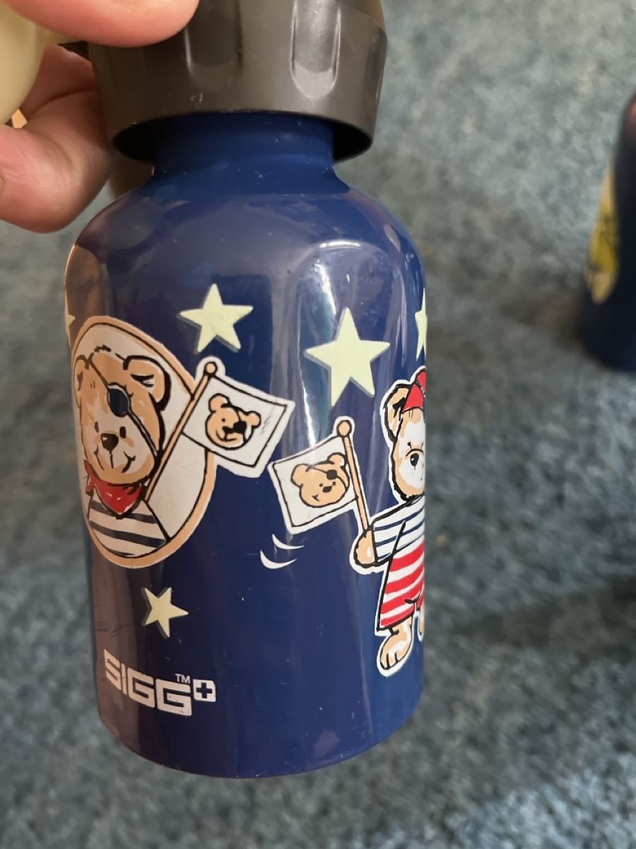 Sigg Borracce & Thermos: Metall Trinkflaschen Set 4 Stk. – Usato da Aarau venduto da SCH_EV 6