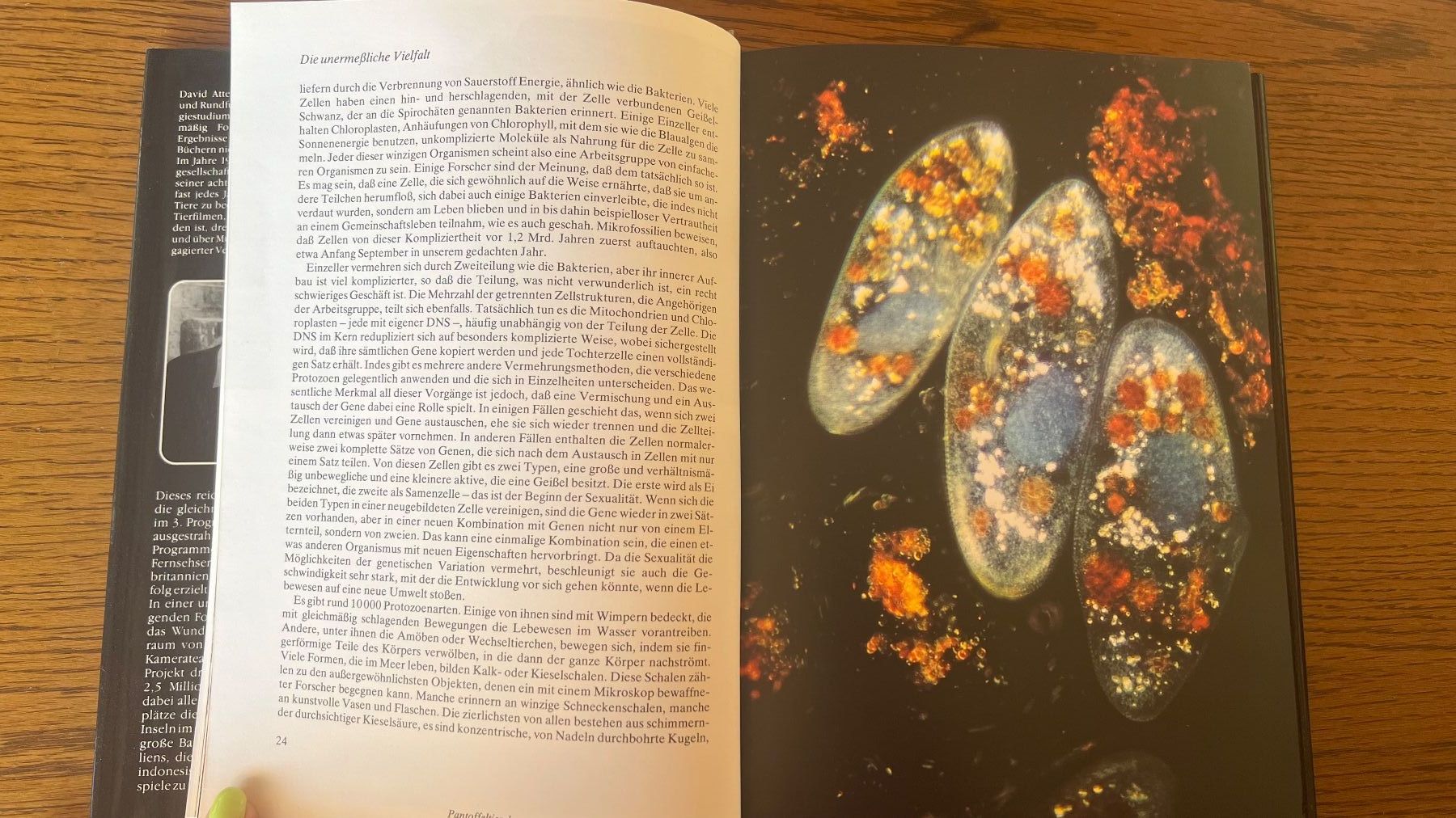 Bücher: David Attenborough: Das Leben auf unserer Erde -1979 – Gebraucht aus Schübelbach von Dolly990_2 3