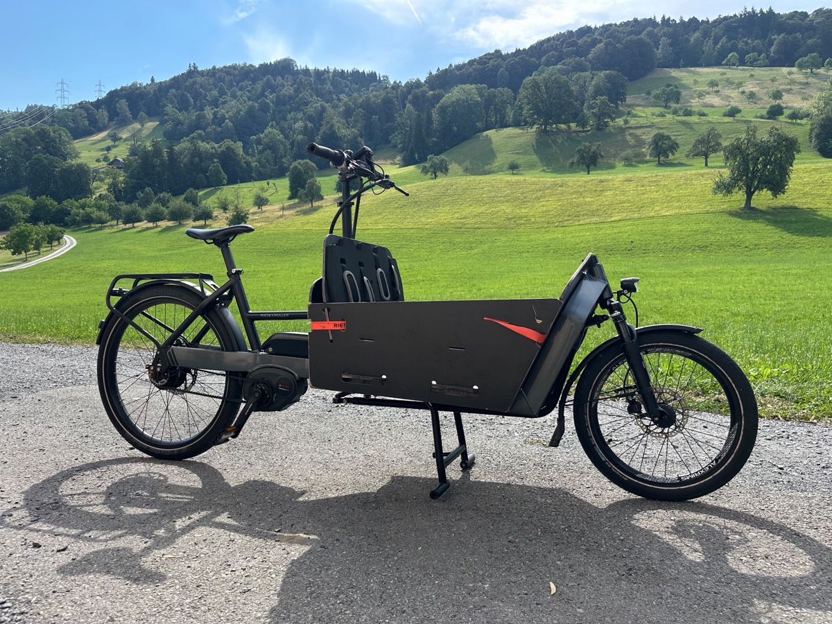 Riese & Müller Velos: Riese & Müller Packster 60 Cargo eBike/Cargo Velo – Gebraucht aus Ennetbürgen von de_dutchman