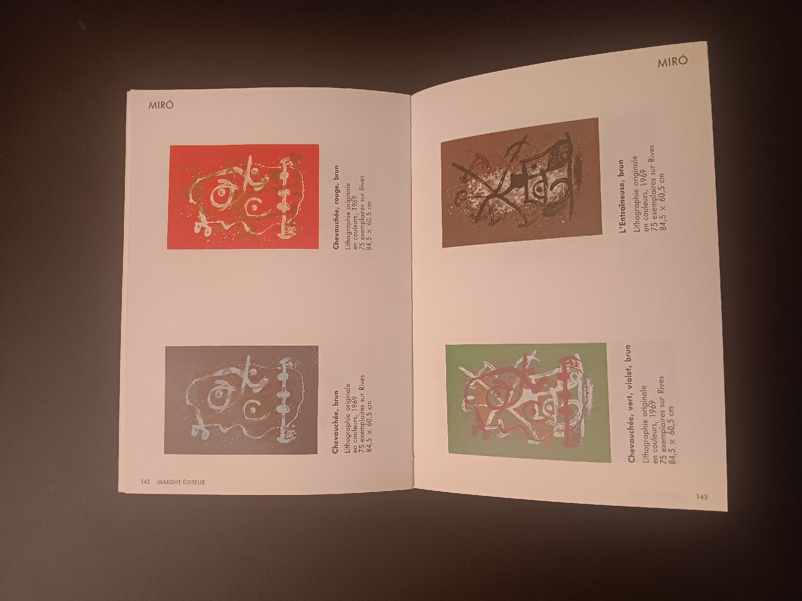 Livres: litographies gravures originales 1989 Maeght – D'occasion à Lausanne par Grabock 5
