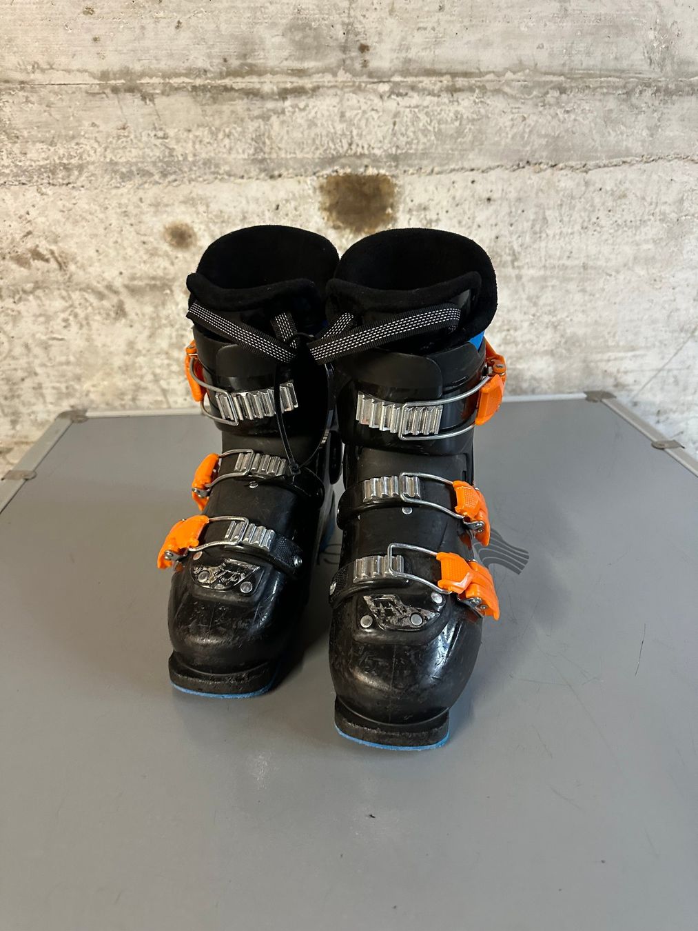 Tecnica Schuhe für Jungen: Tecnica Skischuhe Kinder 23.5 / Gr. 37 – Gebraucht aus Emmenbrücke von karkarkar 3