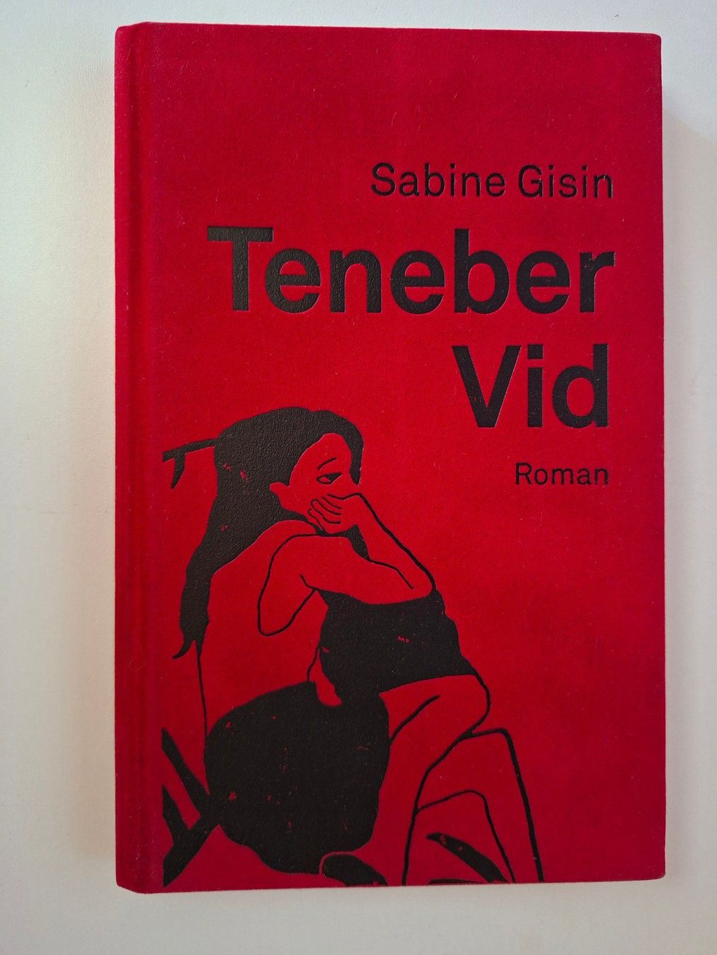 Libri: Sabine Gisin: Teneber Vid – Usato da Dietikon venduto da Buchantiqdietikon
