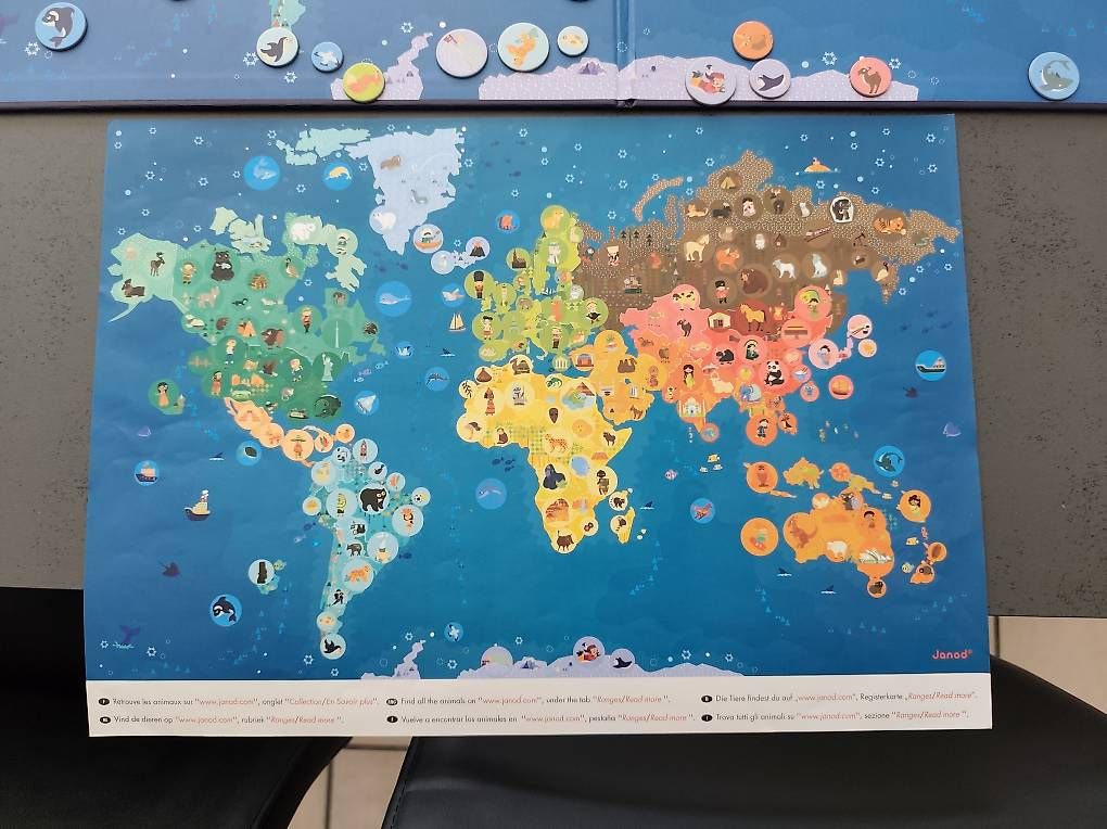 Giochi: Carte du monde magnétique Janod – Usato da Delémont venduto da emm_z2yb 3