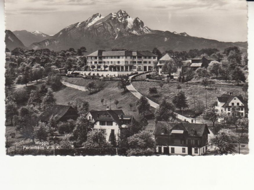 Cartoline postali: Weggis ca. 1945 – Usato da Bürglen TG venduto da StampGraf