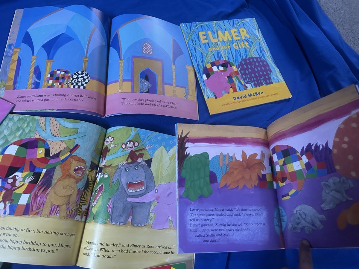 Libri: David McKee Elmer 10 bücher auf englisch – Nuovo (secondo la descrizione) da Uster venduto da bek_v2ct 6