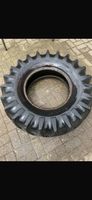PALLAS 11 25