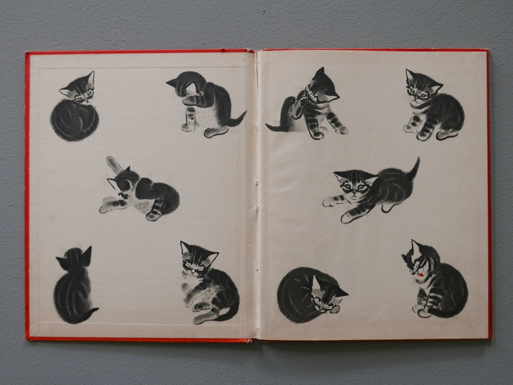 Libri: ANTIKES KINDERBUCH MOLLI KATZENGESCHICHTE – Usato da Balgach venduto da Zwischenraum 1