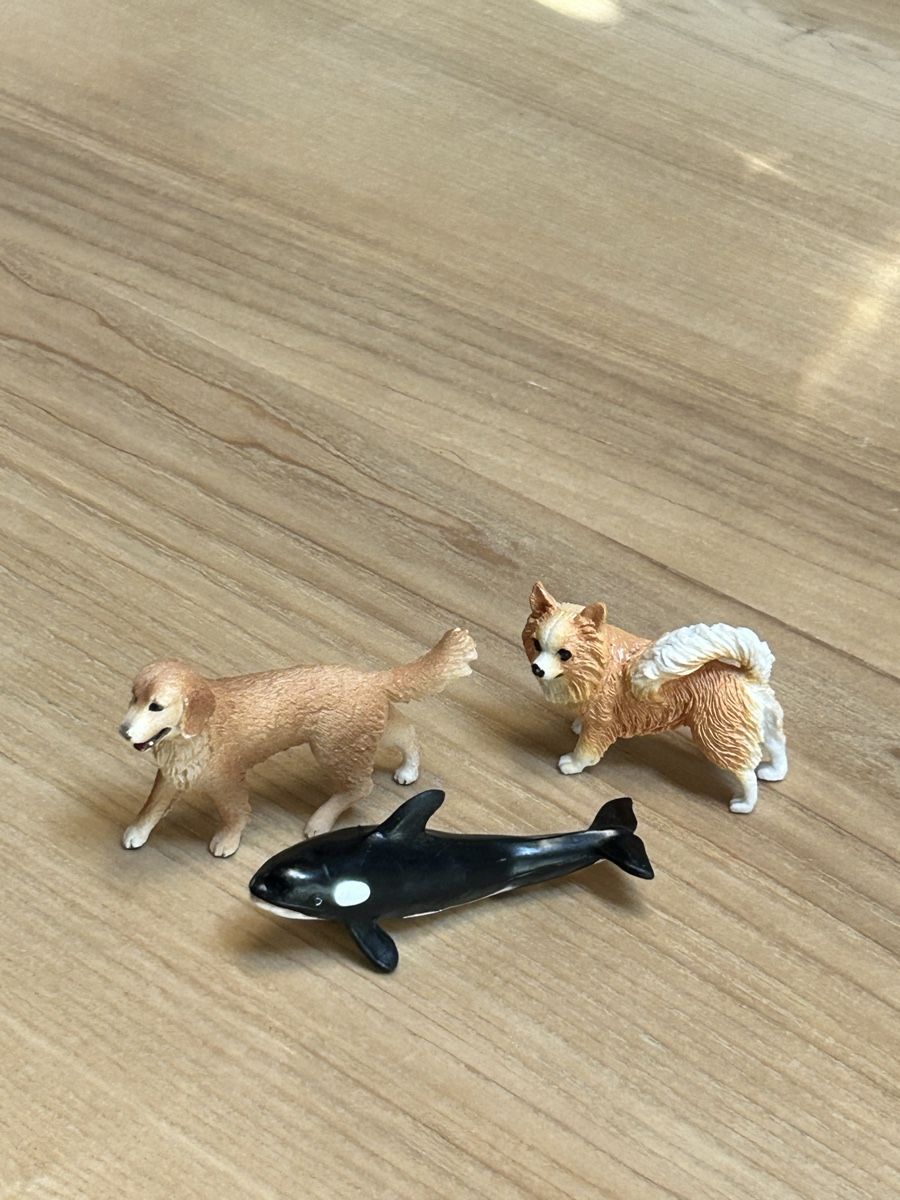 Schleich Statuette: Schleich Pferde + Einhorn + Extrafiguren – Usato da Bützberg venduto da don_5tm9 1