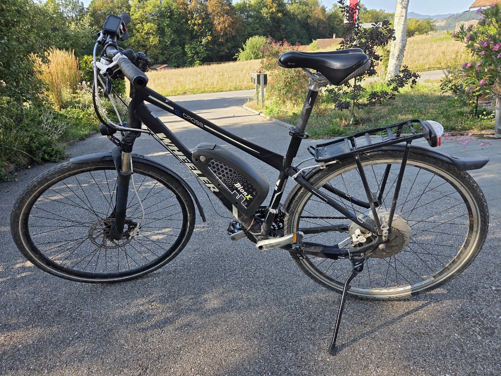 Wheeler Biciclette: WHEELER mit BionX – Usato da Tägertschi venduto da Chris0076