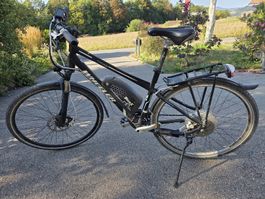 WHEELER mit BionX