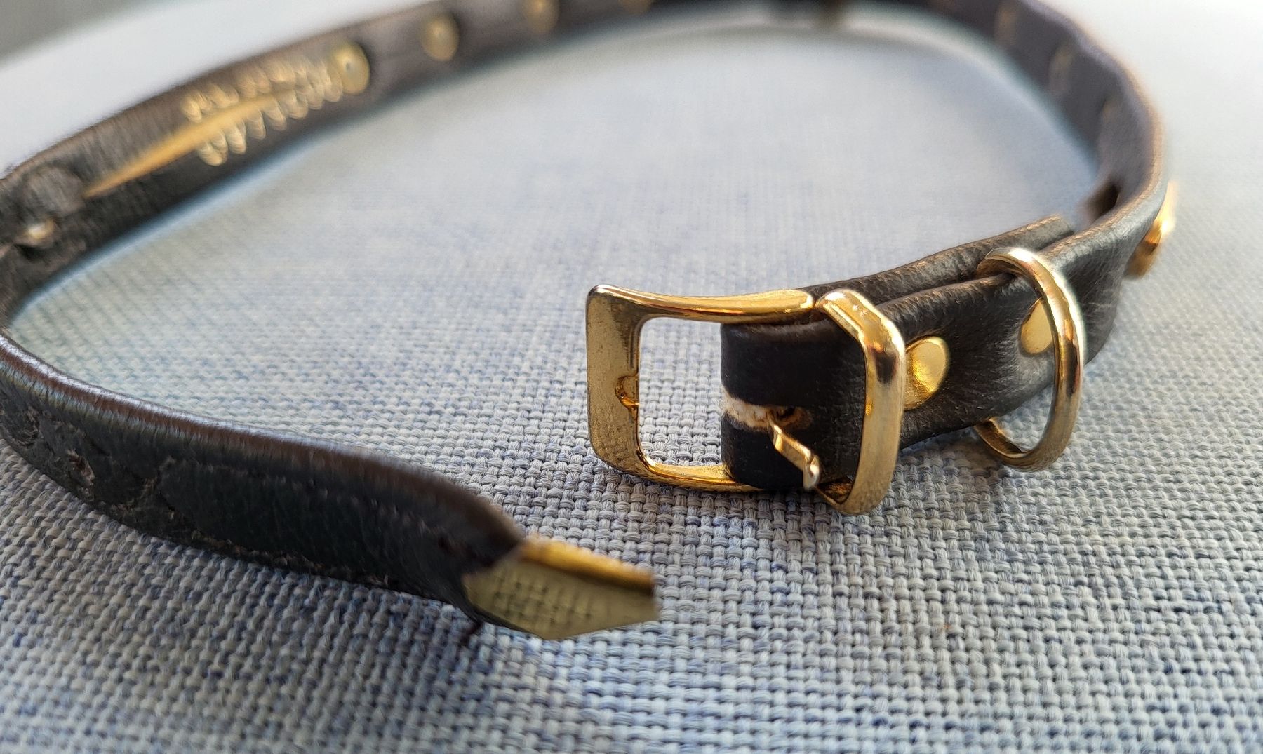 Nastri decorativi: Hundehalsband mit Chueli – Usato da Gutenswil venduto da ghekko88 4