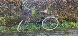 Wunderschönes braun-mattes Hollandfahrrad
