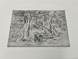 aus Grafiksammlung Radierung von Herold Howald