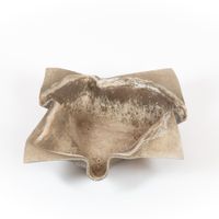 Eternit Elefantenohr von Willy Guhl