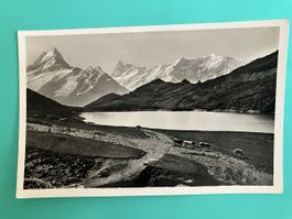 Ansichtskarte Bachalpsee Hotel Faulhorn s/w