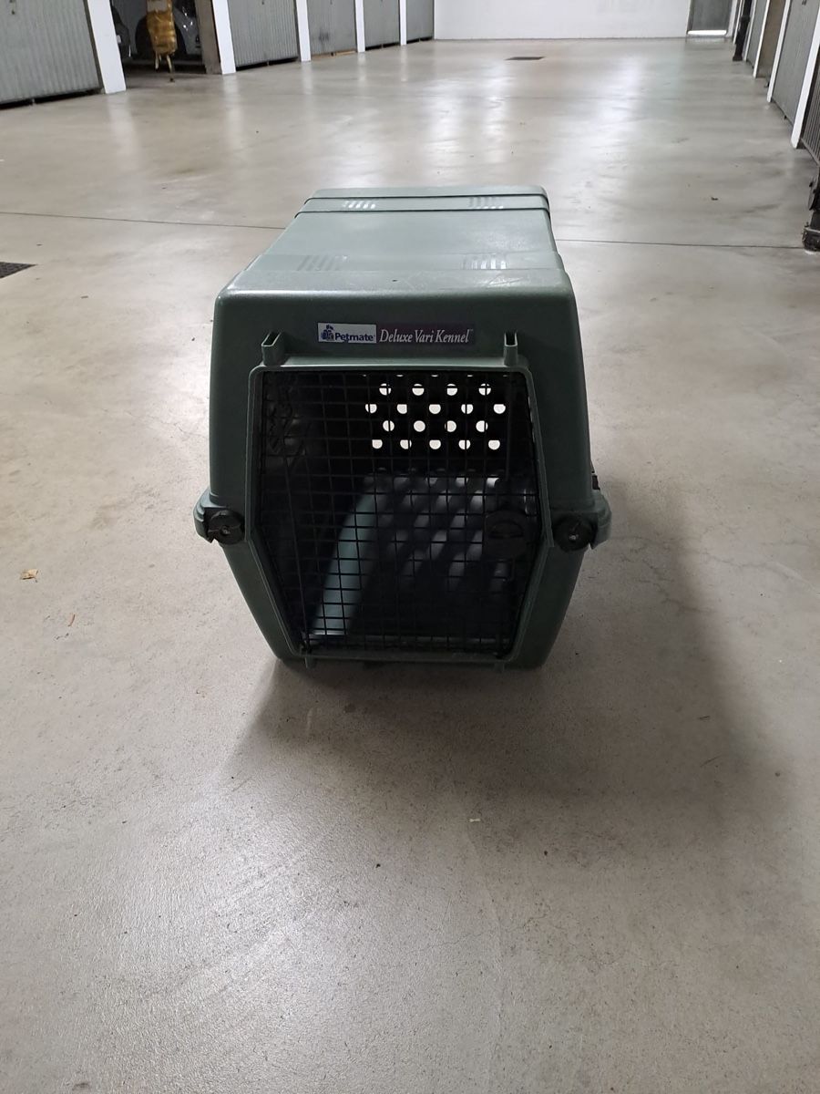 Gabbie, trasporto & Sicurezza: caisse pour animal – Usato da Lausanne venduto da ebove 2