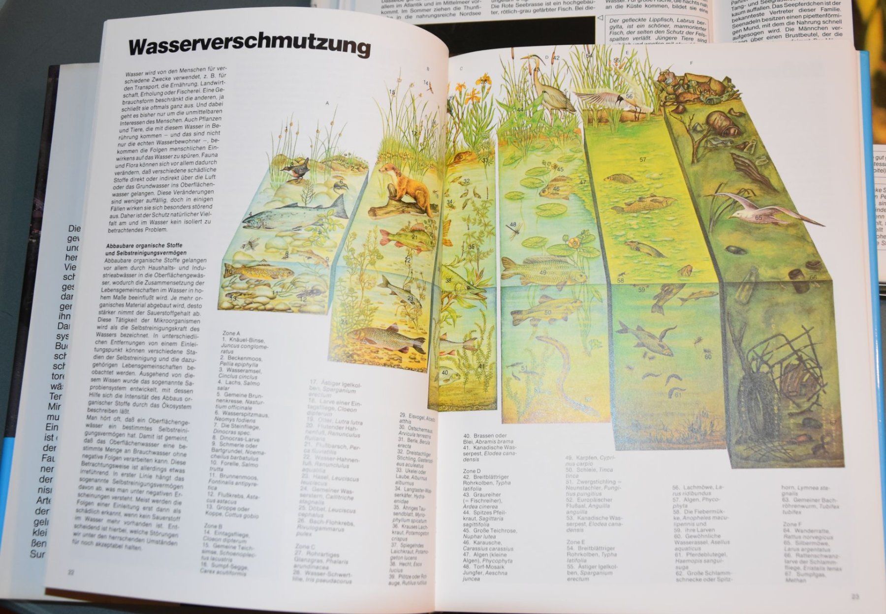 Livres: Seen-Flüsse & Meere – D'occasion à Liestal par estreiter 2