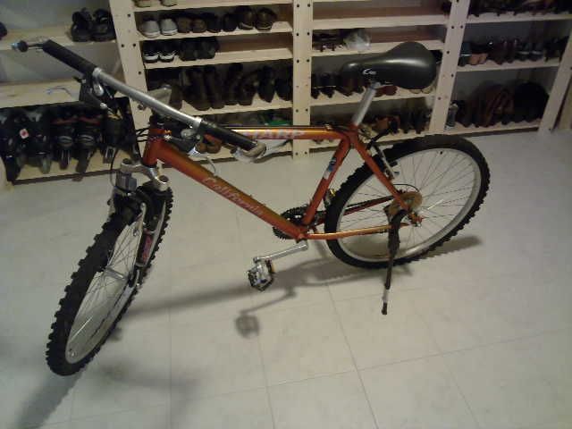 Biciclette: Mountainbike Sharp California 26" – Usato da Spreitenbach venduto da turkisblau