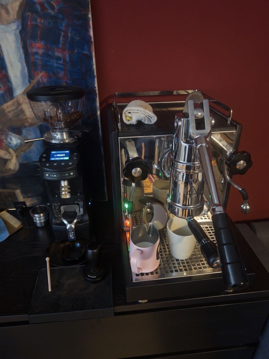 Profitec Kaffeemaschinen & Espressomaschinen: Custom Profitec 800 / Mazzer Mini G GBW  – Gebraucht aus Bern von leo_2hfs