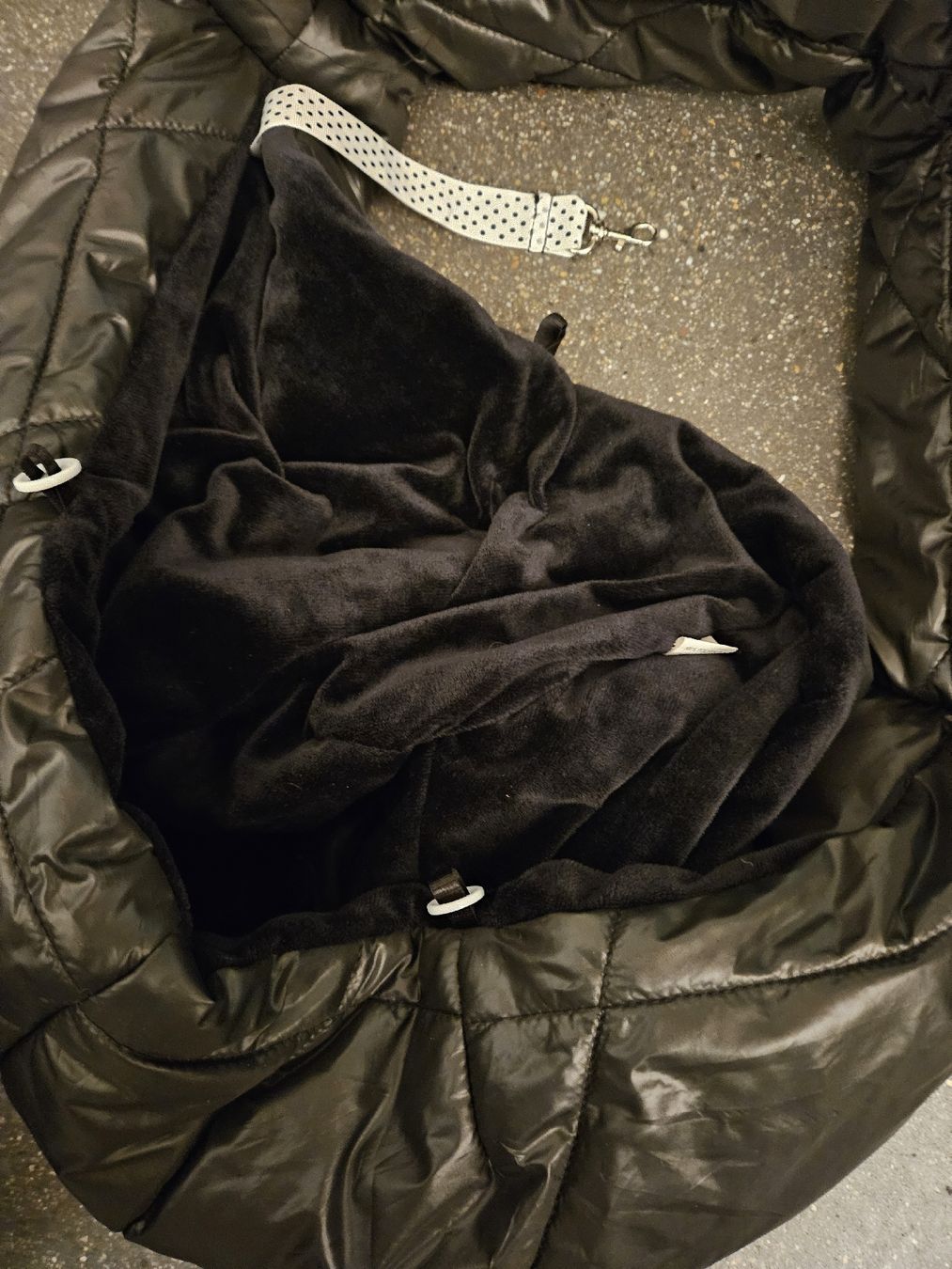 Borse: Hundetragtache Hund Tasche – Nuovo (secondo la descrizione) da Anwil venduto da tamoos 2