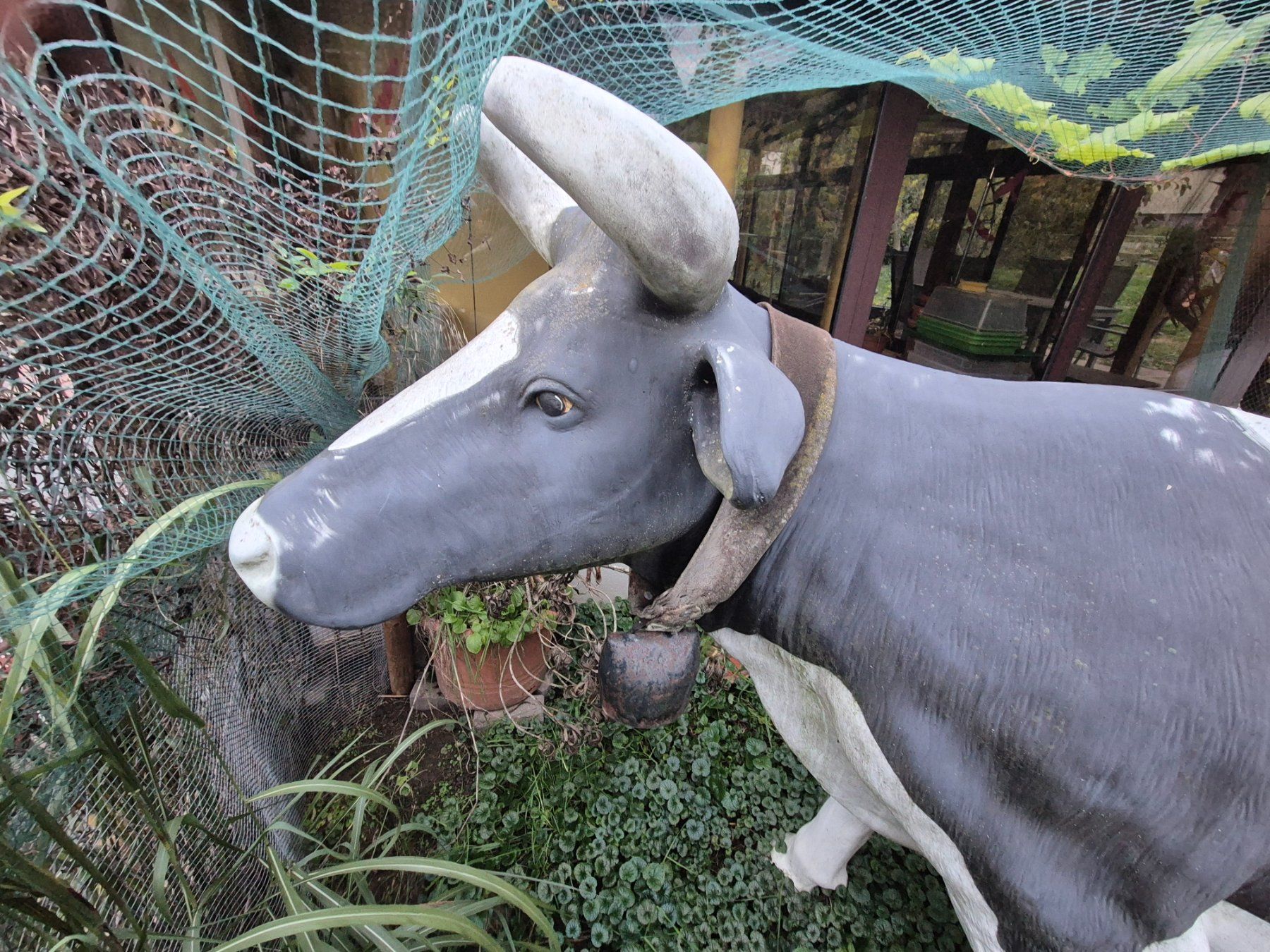 Sculture & Statue: Kuh lebensgross – Usato da Aegerten venduto da Herbst_ 1