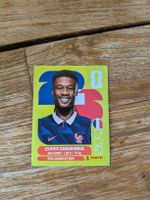 Panini Bild FRA 10