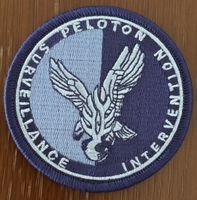 Badge - PSIG