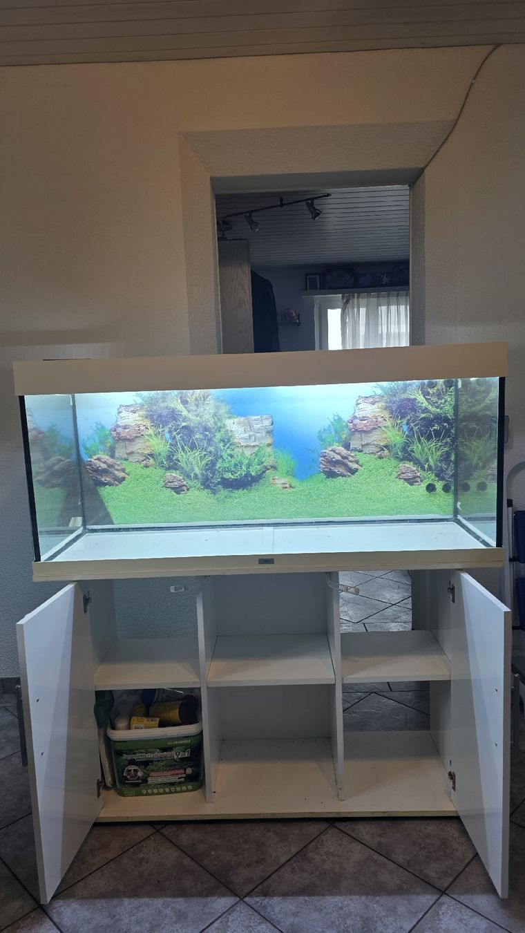 Juwel Aquarium: Juwel Aquarium 240L – D'occasion à Oberhofen TG par Pea_fj7